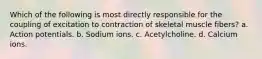 Which of the following is most directly responsible for the coupling of excitation to contraction of skeletal muscle fibers? a. Action potentials. b. Sodium ions. c. Acetylcholine. d. Calcium ions.