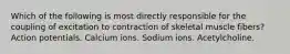 Which of the following is most directly responsible for the coupling of excitation to contraction of skeletal muscle fibers? Action potentials. Calcium ions. Sodium ions. Acetylcholine.