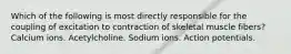 Which of the following is most directly responsible for the coupling of excitation to contraction of skeletal muscle fibers? Calcium ions. Acetylcholine. Sodium ions. Action potentials.