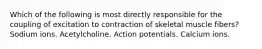 Which of the following is most directly responsible for the coupling of excitation to contraction of skeletal muscle fibers? Sodium ions. Acetylcholine. Action potentials. Calcium ions.
