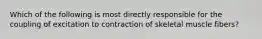 Which of the following is most directly responsible for the coupling of excitation to contraction of skeletal muscle fibers?