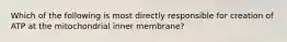 Which of the following is most directly responsible for creation of ATP at the mitochondrial inner membrane?