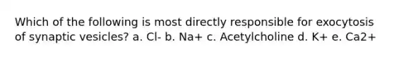 Which of the following is most directly responsible for exocytosis of synaptic vesicles? a. Cl- b. Na+ c. Acetylcholine d. K+ e. Ca2+