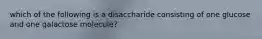 which of the following is a disaccharide consisting of one glucose and one galactose molecule?