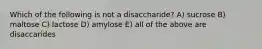 Which of the following is not a disaccharide? A) sucrose B) maltose C) lactose D) amylose E) all of the above are disaccarides