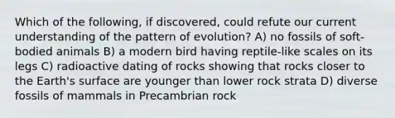 Which of the following, if discovered, could refute our current understanding of the pattern of evolution? A) no fossils of soft-bodied animals B) a modern bird having reptile-like scales on its legs C) radioactive dating of rocks showing that rocks closer to the Earth's surface are younger than lower rock strata D) diverse fossils of mammals in Precambrian rock