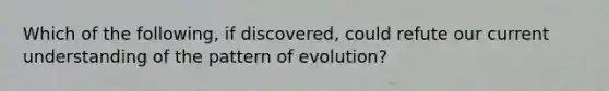 Which of the following, if discovered, could refute our current understanding of the pattern of evolution?