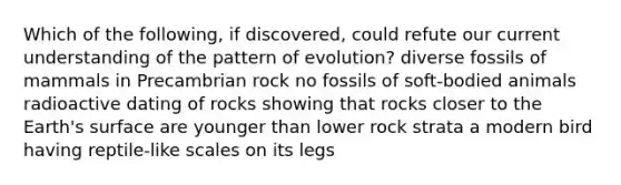 Which of the following, if discovered, could refute our current understanding of the pattern of evolution? diverse fossils of mammals in Precambrian rock no fossils of soft-bodied animals radioactive dating of rocks showing that rocks closer to the Earth's surface are younger than lower rock strata a modern bird having reptile-like scales on its legs