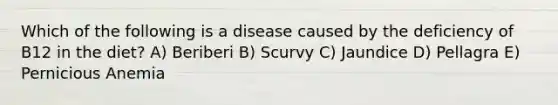 Which of the following is a disease caused by the deficiency of B12 in the diet? A) Beriberi B) Scurvy C) Jaundice D) Pellagra E) Pernicious Anemia