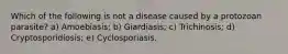 Which of the following is not a disease caused by a protozoan parasite? a) Amoebiasis; b) Giardiasis; c) Trichinosis; d) Cryptosporidiosis; e) Cyclosporiasis.