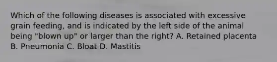 Which of the following diseases is associated with excessive grain feeding, and is indicated by the left side of the animal being "blown up" or larger than the right? A. Retained placenta B. Pneumonia C. Bloat D. Mastitis