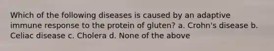 Which of the following diseases is caused by an adaptive immune response to the protein of gluten? a. Crohn's disease b. Celiac disease c. Cholera d. None of the above