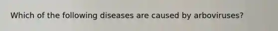 Which of the following diseases are caused by arboviruses?