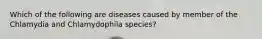 Which of the following are diseases caused by member of the Chlamydia and Chlamydophila species?