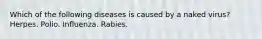 Which of the following diseases is caused by a naked virus? Herpes. Polio. Influenza. Rabies.