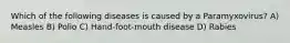 Which of the following diseases is caused by a Paramyxovirus? A) Measles B) Polio C) Hand-foot-mouth disease D) Rabies