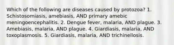 Which of the following are diseases caused by protozoa? 1. Schistosomiasis, amebiasis, AND primary amebic meningoencephalitis. 2. Dengue fever, malaria, AND plague. 3. Amebiasis, malaria, AND plague. 4. Giardiasis, malaria, AND toxoplasmosis. 5. Giardiasis, malaria, AND trichinellosis.