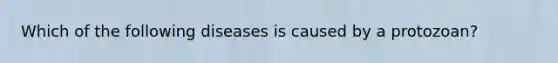 Which of the following diseases is caused by a protozoan?