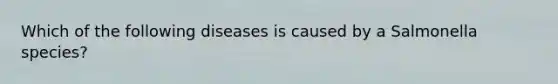 Which of the following diseases is caused by a Salmonella species?