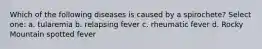 Which of the following diseases is caused by a spirochete? Select one: a. tularemia b. relapsing fever c. rheumatic fever d. Rocky Mountain spotted fever