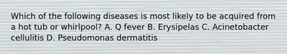 Which of the following diseases is most likely to be acquired from a hot tub or whirlpool? A. Q fever B. Erysipelas C. Acinetobacter cellulitis D. Pseudomonas dermatitis