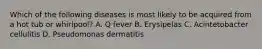 Which of the following diseases is most likely to be acquired from a hot tub or whirlpool? A. Q fever B. Erysipelas C. Acintetobacter cellulitis D. Pseudomonas dermatitis