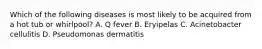 Which of the following diseases is most likely to be acquired from a hot tub or whirlpool? A. Q fever B. Eryipelas C. Acinetobacter cellulitis D. Pseudomonas dermatitis