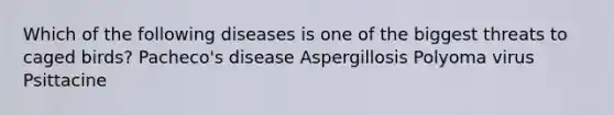 Which of the following diseases is one of the biggest threats to caged birds? Pacheco's disease Aspergillosis Polyoma virus Psittacine