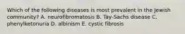 Which of the following diseases is most prevalent in the Jewish community? A. neurofibromatosis B. Tay-Sachs disease C. phenylketonuria D. albinism E. cystic fibrosis