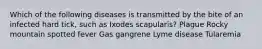 Which of the following diseases is transmitted by the bite of an infected hard tick, such as Ixodes scapularis? Plague Rocky mountain spotted fever Gas gangrene Lyme disease Tularemia