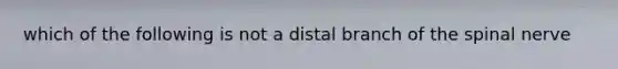 which of the following is not a distal branch of the spinal nerve