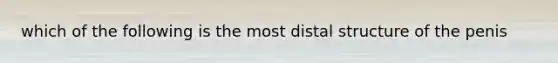 which of the following is the most distal structure of the penis