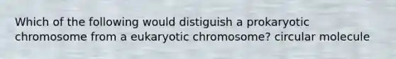 Which of the following would distiguish a prokaryotic chromosome from a eukaryotic chromosome? circular molecule