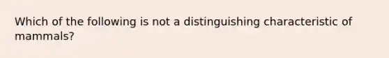 Which of the following is not a distinguishing characteristic of mammals?