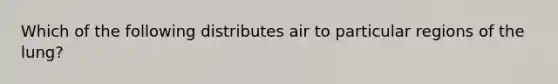 Which of the following distributes air to particular regions of the lung?