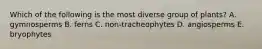 Which of the following is the most diverse group of plants? A. gymnosperms B. ferns C. non-tracheophytes D. angiosperms E. bryophytes