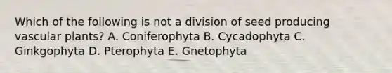 Which of the following is not a division of seed producing vascular plants? A. Coniferophyta B. Cycadophyta C. Ginkgophyta D. Pterophyta E. Gnetophyta