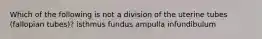 Which of the following is not a division of the uterine tubes (fallopian tubes)? isthmus fundus ampulla infundibulum