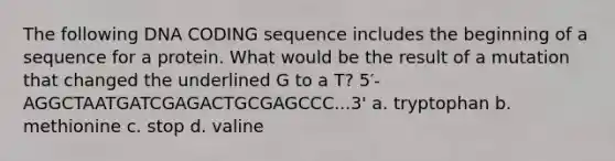 The following DNA CODING sequence includes the beginning of a sequence for a protein. What would be the result of a mutation that changed the underlined G to a T? 5′-AGGCTAATGATCGAGACTGCGAGCCC...3' a. tryptophan b. methionine c. stop d. valine