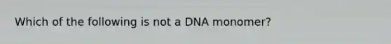 Which of the following is not a DNA monomer?