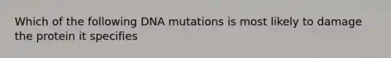 Which of the following DNA mutations is most likely to damage the protein it specifies