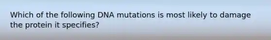 Which of the following DNA mutations is most likely to damage the protein it specifies?