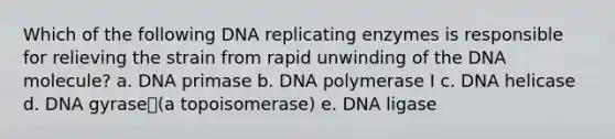 Which of the following DNA replicating enzymes is responsible for relieving the strain from rapid unwinding of the DNA molecule? a. DNA primase b. DNA polymerase I c. DNA helicase d. DNA gyrase(a topoisomerase) e. DNA ligase