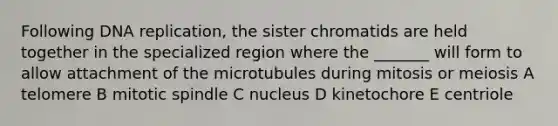 Following DNA replication, the sister chromatids are held together in the specialized region where the _______ will form to allow attachment of the microtubules during mitosis or meiosis A telomere B mitotic spindle C nucleus D kinetochore E centriole