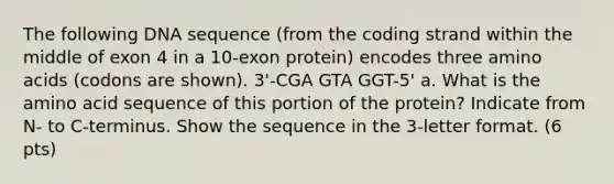 The following DNA sequence (from the coding strand within the middle of exon 4 in a 10-exon protein) encodes three amino acids (codons are shown). 3'-CGA GTA GGT-5' a. What is the amino acid sequence of this portion of the protein? Indicate from N- to C-terminus. Show the sequence in the 3-letter format. (6 pts)