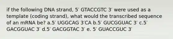 if the following DNA strand, 5′ GTACCGTC 3′ were used as a template (coding strand), what would the transcribed sequence of an mRNA be? a.5′ UGGCAG 3′CA b.5′ GUCGGUAC 3′ c.5′ GACGGUAC 3′ d.5′ GACGGTAC 3′ e. 5′ GUACCGUC 3′