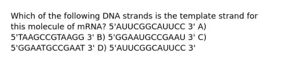 Which of the following DNA strands is the template strand for this molecule of mRNA? 5'AUUCGGCAUUCC 3' A) 5'TAAGCCGTAAGG 3' B) 5'GGAAUGCCGAAU 3' C) 5'GGAATGCCGAAT 3' D) 5'AUUCGGCAUUCC 3'