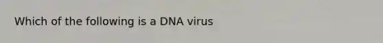 Which of the following is a DNA virus