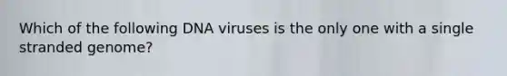 Which of the following DNA viruses is the only one with a single stranded genome?