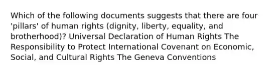 Which of the following documents suggests that there are four 'pillars' of human rights (dignity, liberty, equality, and brotherhood)? Universal Declaration of Human Rights The Responsibility to Protect International Covenant on Economic, Social, and Cultural Rights The Geneva Conventions